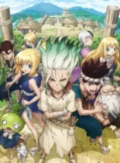 Dr. Stone
