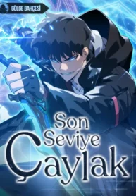 Son Seviye Çaylak
